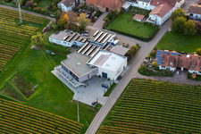 Aerial view of Wine shop Weingut Sauer in Nußdorf in the district Nußdorf in Landau in der Pfalz in the state Rhineland-Palatinate, Germany