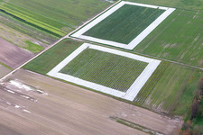 Aerial view of Salad fields with foil in the district Minderslachen in Kandel in the state Rhineland-Palatinate, Germany
