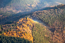 Duddeflecher paragliding launch site in Frankweiler in the state Rhineland-Palatinate, Germany