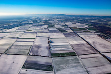 Wind turbines in winter with snow in Minfeld in the state Rhineland-Palatinate, Germany
