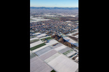 Aerial view of From the southeast in winter when there is snow in Offenbach an der Queich in the state Rhineland-Palatinate, Germany