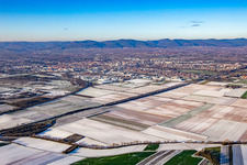 In winter when there is snow in the district Queichheim in Landau in der Pfalz in the state Rhineland-Palatinate, Germany