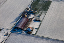 Equestrian center Fohlenhof in winter with snow in Steinweiler in the state Rhineland-Palatinate, Germany