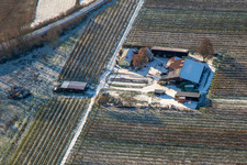 Gensheimer asparagus and fruit farm in winter with snow in Steinweiler in the state Rhineland-Palatinate, Germany