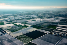 Wind farm in winter with snow in Freckenfeld in the state Rhineland-Palatinate, Germany