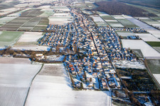Aerial view of View of the town from the west in winter with snow in Freckenfeld in the state Rhineland-Palatinate, Germany