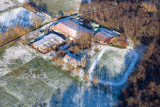Icelandic horse stud farm Bienwald in winter with snow in Freckenfeld in the state Rhineland-Palatinate, Germany