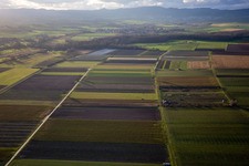 Drone image of District Mühlhofen in Billigheim-Ingenheim in the state Rhineland-Palatinate, Germany