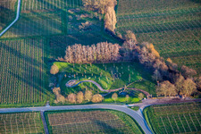 Climate ARBORETUM in Flemlingen in the state Rhineland-Palatinate, Germany