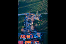 Cemetery Hainfeld in Hainfeld in the state Rhineland-Palatinate, Germany