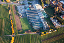 Aerial photograpy of Garden Center Edesheim GmbH in Edesheim in the state Rhineland-Palatinate, Germany