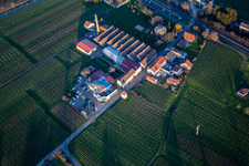 Renault Autohaus Schreieck GmbH in front of the Albert Götz KG winery in Kirrweiler in the state Rhineland-Palatinate, Germany