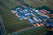 Industrial area at the sheep pasture in Kirrweiler in the state Rhineland-Palatinate, Germany