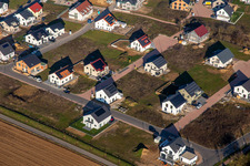 Lavender path in the new development area K2 in winter in Kandel in the state Rhineland-Palatinate, Germany