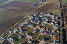 Narcissus Path in the new development area K2 in winter in Kandel in the state Rhineland-Palatinate, Germany