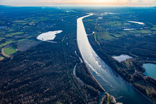 Fermasee in the Rhine meadows of the Old Rhine in the district Neuburgweier in Rheinstetten in the state Baden-Wuerttemberg, Germany