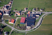 Aerial photograpy of Emil Wissing Winery GmbH in Oberotterbach in the state Rhineland-Palatinate, Germany