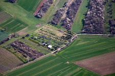 Tree nursery in Schweighofen in the state Rhineland-Palatinate, Germany