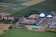 Pig fattening facility Ballenstedt GbR in the district Asmusstedt in Ballenstedt in the state Saxony-Anhalt, Germany
