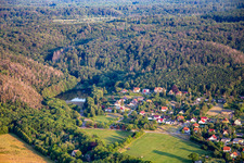 Osterteich forest pool in the district Gernrode in Quedlinburg in the state Saxony-Anhalt, Germany