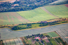Devil's Wall middle stones from the north in the district Weddersleben in Thale in the state Saxony-Anhalt, Germany