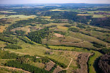 Remains of the bark beetle forest and reforestation in the district Dankerode in Harzgerode in the state Saxony-Anhalt, Germany