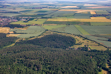 Golf Club Schloss Meisdorf eV in the district Meisdorf in Falkenstein in the state Saxony-Anhalt, Germany