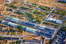 Aerial view of U-Halle at the Spinelli Park of the Federal Garden Show Mannheim BUGA 2023 in the district Feudenheim in Mannheim in the state Baden-Wuerttemberg, Germany