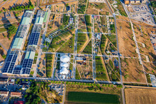 EXPERIMENTAL FIELD Behind the main stage in the Spinelli Park of the Federal Garden Show Mannheim BUGA 2023 in the district Käfertal in Mannheim in the state Baden-Wuerttemberg, Germany