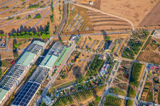 I-Punkt GREEN in the EXPERIMENTAL FIELD in Spinelli Park at the Federal Garden Show Mannheim BUGA 2023 in the district Feudenheim in Mannheim in the state Baden-Wuerttemberg, Germany