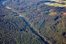 Forest clearing for the high-voltage line in the district Hüttenthal in Mossautal in the state Hesse, Germany