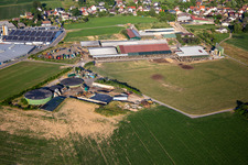 Siefert Horst in the district Vielbrunn in Michelstadt in the state Hesse, Germany