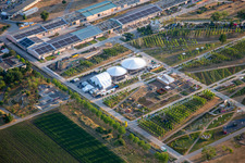 Main stage in Spinelli Park of the Federal Garden Show Mannheim BUGA 2023 in the district Feudenheim in Mannheim in the state Baden-Wuerttemberg, Germany