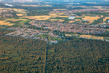 Iggelheimer Straße through the forest in Dudenhofen in the state Rhineland-Palatinate, Germany