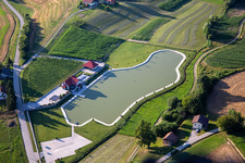 Winery with private pond in Ormož in the state Slovenia, Slovenia