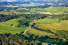 Aerial view of Vineyards at Klopca ljubezni Mestni vrh nad Ptujem in Ptuj in the state Slovenia, Slovenia