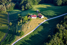 Small farmstead in Destrnik in the state Slovenia, Slovenia