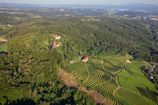 Church of Župnijska cerkev sv. Marije Vnebovzete and Café Huda Liza above the Vurberg vineyards in Duplek in the state Slovenia, Slovenia