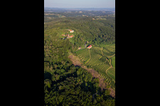 Aerial view of Church of Župnijska cerkev sv. Marije Vnebovzete and Café Huda Liza above the Vurberg vineyards in Duplek in the state Slovenia, Slovenia