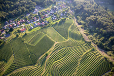 Aerial view of Pattern of vine rows of vineyards on the Vurberg in Duplek in the state Slovenia, Slovenia