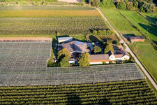 Lindenhof: Gensheimer fruit and asparagus farm in Steinweiler in the state Rhineland-Palatinate, Germany