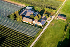 Aerial photograpy of Lindenhof: Gensheimer fruit and asparagus farm in Steinweiler in the state Rhineland-Palatinate, Germany