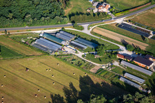 Garden Center Vrtnarija Majdin Gaj and Horti doo in Renče-Vogrsko in the state Slovenia, Slovenia