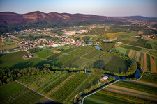 River bends of the Vipava in Renče-Vogrsko in the state Slovenia, Slovenia