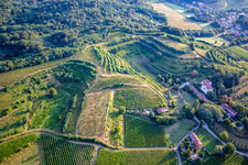 Aerial photograpy of Vineyards in Mossa in the state Gorizia, Italy