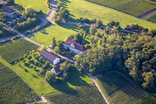 Keschde Buckel in Klingenmünster in the state Rhineland-Palatinate, Germany