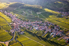 At Keschdebusch in Ranschbach in the state Rhineland-Palatinate, Germany
