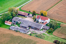 Aerial view of Ludwigsau Estate in the district Maximiliansau in Wörth am Rhein in the state Rhineland-Palatinate, Germany