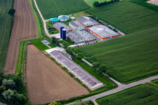 Livestock farming with biogas plant in Trimbach in the state Bas-Rhin, France