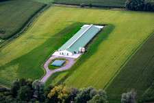 New poultry farming in Trimbach in the state Bas-Rhin, France